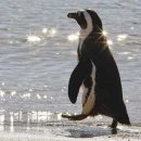 천연(에코)환경 이미지