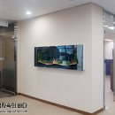 상상수족관
