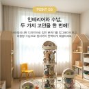 pet162거4910 | 넘쳐나는 인형 수납&lt;두리치(dorich) 인형정리함&gt; 타워 내돈내산 후기