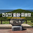 천상의화원 곰배령 예약방법, 주차장 등산후기