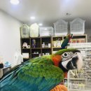 가든조류원 이미지