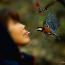 개울민박 이미지