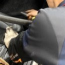 현대자동차정비공업사 이미지