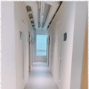 피렌체음악학원 이미지