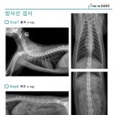서울앤탑 동물병원 이미지