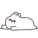 예손피부 이미지