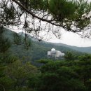 좌구산자연휴양림 이미지