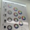 2655 | 대전 퍼스널컬러 진단, 컬러뷰 대전본점 1:1 정밀 진단으로 여름라이트인 줄 알았던 여름뮤트의 대반전