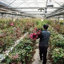 경은농장 이미지