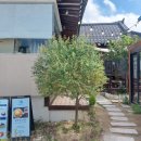 라소(laso) 이미지