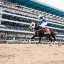 클린 원 이미지