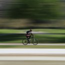 박해목장 이미지