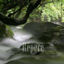 금수강산 이미지