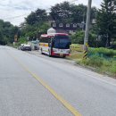 원주굽이길 2코스 700년노송길 이미지