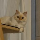 삼보약국 | 260105~260111 1월 둘째주 일상기록