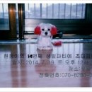 강남논현점현대블루핸즈 Daum카페