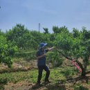 삼산행정사 이미지