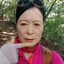 그옛날에 살았던 연수동 청양산 흥륜사 절 부처님전 인사요 이미지