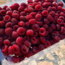 청리브 | [청리브] 2026년 생 산딸기 500g,1kg 산지직송 당일수확 김해 제철 생과 냉동 [원산지:국산(경상남도...