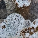 천인약품 이미지