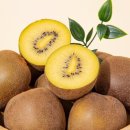 더조은푸드 이미지