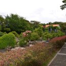 장사도해상공원 이미지