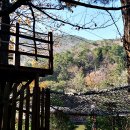 구덕청소년 수련관 이미지