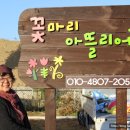 청명농장 이미지