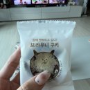 (주)퍼니버섯 | 백수일기 그 다음편