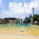 청수파크 | &lt;제주 한 달 살기 DAY 24&gt;신화월드 워터파크/청수 곶자왈 반딧불이 축제