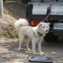 풍월농장 이미지