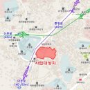 복성초 Daum카페