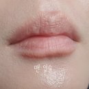 멜론 | 바비브라운 NEW 엑스트라 립 틴트 베어멜론 후기｜패키지리뉴얼, 발색, 향, 데일리 립밤추천