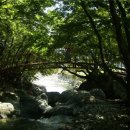 가음민박 이미지