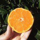 제주하늘바람 이미지