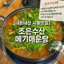 메기로 | [내돈내산] 시흥맛집 조은수산 메기매운탕 후기 🔥 또또간집 인정!