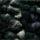 하례2리 이미지