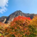 강천산 캠핑 이미지