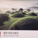 산청한의학박물관 | 산청, 합천, 무주, 진천 4박 5일 여행 후기