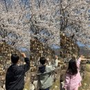 낙안읍성(매표소 뒤) 화장실 | 아이들과 가볼 만한 순천 4월 낙안읍성