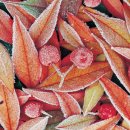 유치초등학교 이미지