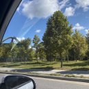 행복도너츠 이미지