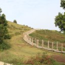 초원대륙공인중개사사무소 | 🌿 “제주 동부 힐링 명소, 아부오름 정상에서 만난 절경”