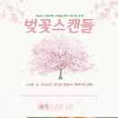 엠앤엠 컴퍼니