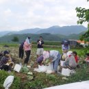 고향농가 이미지