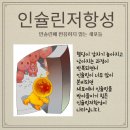 당뇨가 오는 과정 이미지