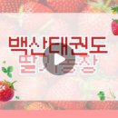 백산 태권도 이미지