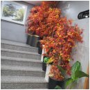 단풍미인한우 도청점 이미지