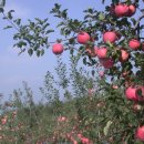 바울농장 이미지