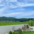 스테이 그리다 | 충청도 애견동반 힐링 숙소 추천